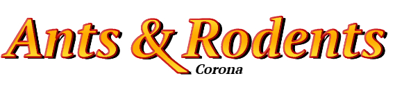 Corona Ant Exterminator & Rodent Control Company Logo